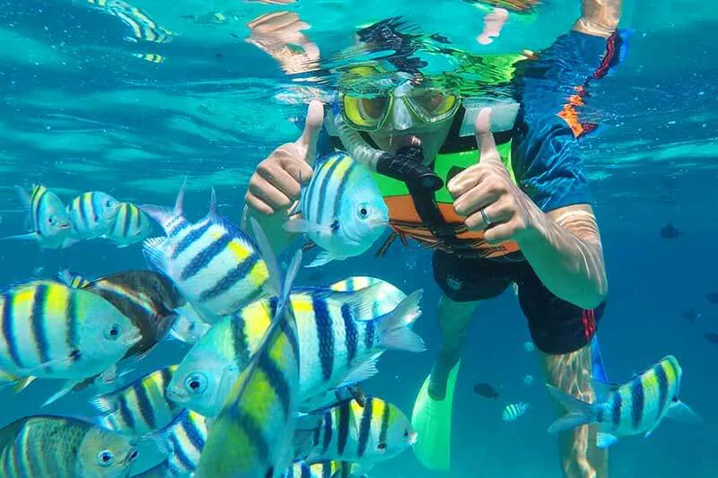 Snorkeling di terumbu karang Pulau Pramuka