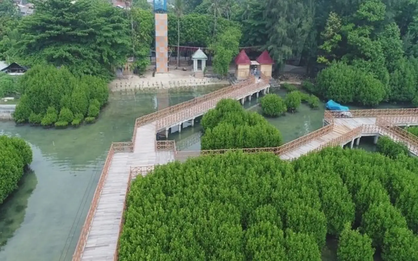 Rumah Literasi Hijau